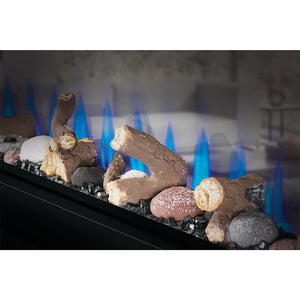 Napoleon CLEARion ELITE See-Thru Electric Fireplace