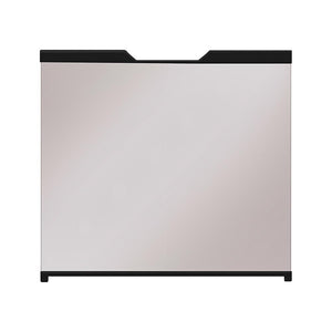 Dimplex Front Glass Pane for 30 Inch Revillusion Fireplace